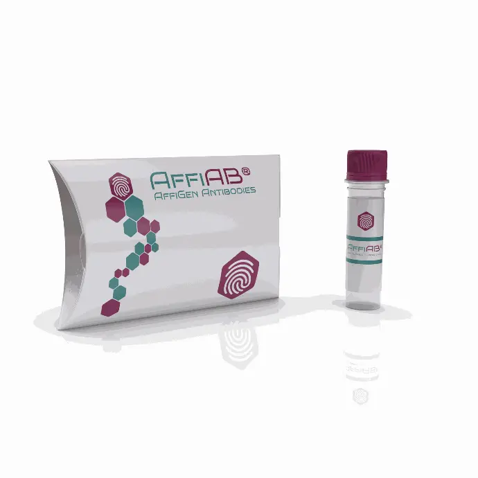AffiAB® Vitamin K1 (Phylloquinone) Antibody