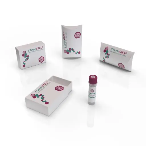 [AFG-STH-0001] AffiAB® Donkey Anti-Goat IgG(H+L), Mouse/Rat SP ads-HRP