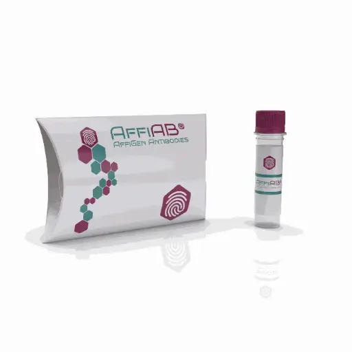[AFG-ABX-004] AffiAB® Vitamin K1 (Phylloquinone) Antibody